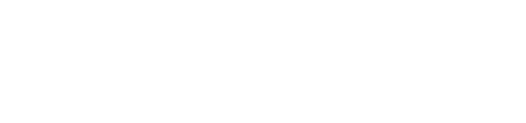 Det Digitale Bilhus logo